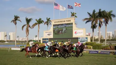 Datos de Última Hora para Gulfstream Park 16-9-2023 Datos de Última Hora para Gulfstream Park 16-9-2023