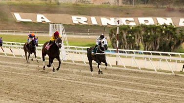 Aquí están los favoritos de la cátedra para el 5y6 Nacional de la reunión 36 en La Rinconada 