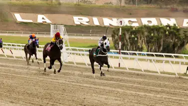 Aquí están los favoritos de la cátedra para el 5y6 Nacional de la reunión 36 en La Rinconada Aquí están los favoritos de la cátedra para el 5y6 Nacional de la reunión 36 en La Rinconada