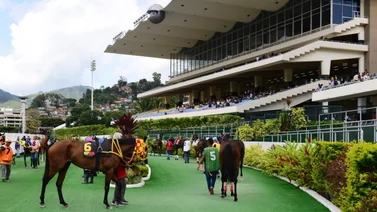 Datos de Última Hora para el Hipódromo La Rinconada 17-9-2023