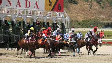 Estos son los retirados del hipódromo La Rinconada 17-9-2023