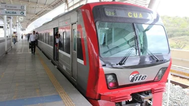 Servicio Ferroviario realiza labores de pica y poda este domingo 17 de septiembre (+ Detalles)