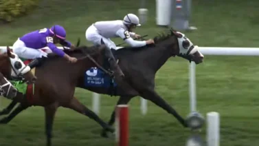 ¡Tremendo golpe! Este caballo gana en Nueva York y mira el sorprendente dividendo que deja