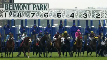 Así van los trabajos de remodelación en el hipódromo de Belmont Park Así van los trabajos de remodelación en el hipódromo de Belmont Park