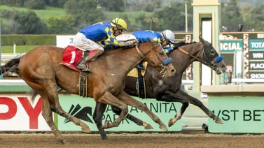 Reincarnate sale de favorito para el Pennsylvania Derby