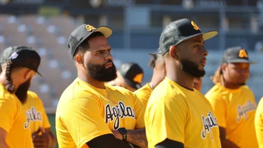 LIDOM: Águilas Cibaeñas empiezan sus entrenamientos con 20 peloteros (+Detalles)