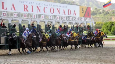 Reunión 37 presenta programación con tres pruebas selectivas en La Rinconada