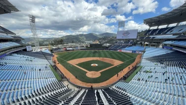 LVBP: Leones del Caracas ya tiene fecha de inicio de entrenamientos
