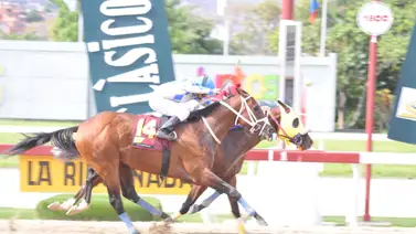 Antonio Bellardi presenta este ejemplar que tiene 42 días sin correr en la Rinconada Antonio Bellardi presenta este ejemplar que tiene 42 días sin correr en la Rinconada