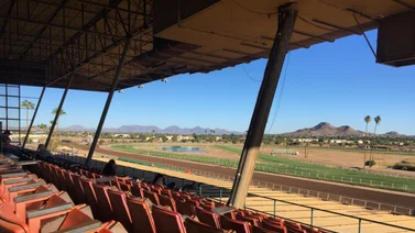 Conoce la fecha del último día de carreras en Turf Paradise