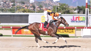 Jaime Lugo llevará este ejemplar que tiene 196 días sin correr en La Rinconada