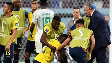 Buenas noticias para la Vinotinto, selección de Ecuador podría ser nuevamente sancionada  Buenas noticias para la Vinotinto, selección de Ecuador podría ser nuevamente sancionada