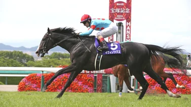 Conoce aquí cuál será la próxima carrera del mejor caballo del mundo