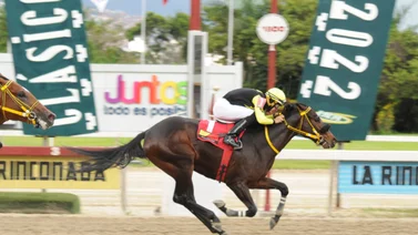 Figurador clásico vuelve a la arena de La Rinconada luego de 56 días sin correr 