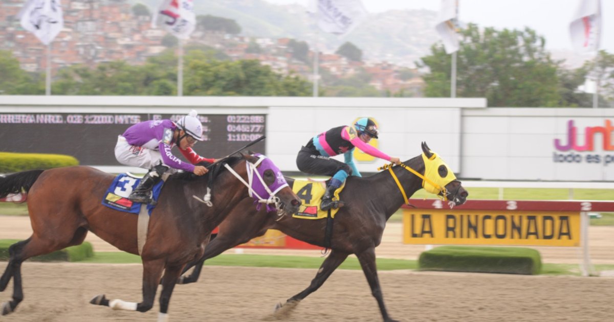 Antonio Bellardi seeks to improve his classic record with a mare who returns after 35 days without racing at La Rinconada