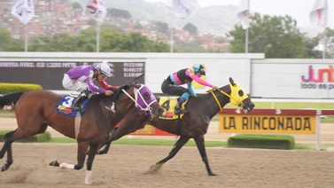 Antonio Bellardi busca aumentar récord en clásico con yegua que reaparece después de 35 días sin correr en La Rinconada