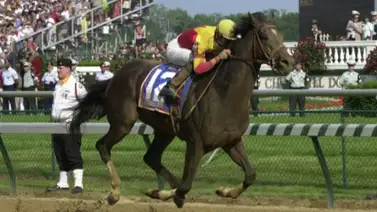 Una nieta del millonario Fusaichi Pegasus está en Venezuela y debutará el domingo en La Rinconada Una nieta del millonario Fusaichi Pegasus está en Venezuela y debutará el domingo en La Rinconada