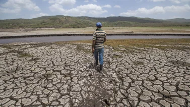 ¡A tomar previsiones! Esto dijo un ambientalista sobre el futuro climático de Venezuela
