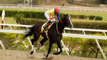 Philomena quiere volver al paddock de ganadores en el Clásico Gustavo Sanabria con este ajuste