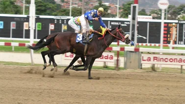 Debuta nieta de un campeón maduro del Caribe