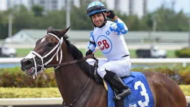 Conoce las montas de Sonny León de este viernes en Gulfstream Park