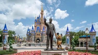 Desalojan Magic Kingdom tras el ingreso de este peligroso animal (+Video)