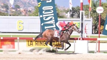 Así fue el ajuste de Templario para este domingo en La Rinconada