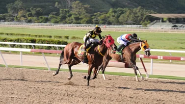 Este fue el ajuste del fijo de Johan Aranguren para este domingo en La Rinconada