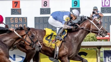 Emisael Jaramillo correrá estos Stakes de Estados Unidos este sábado