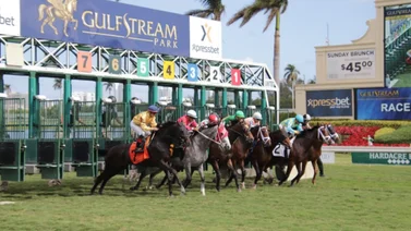 Datos de Última hora para Gulfstream Park 23-9-2023