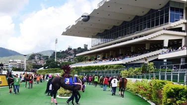 Datos de Última Hora para el Hipódromo La Rinconada 24-9-2023