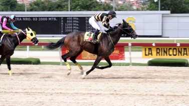 The Queen Nani revienta la taquilla y gana el Clásico Gustavo J. Sanabria