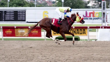 Rod Hendrick fue más caballo en el Clásico José María Vargas