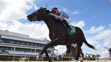 Este fue el jockey venezolano más destacado el fin de semana en Estados Unidos
