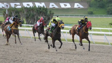 Go Nany Go regresa a la acción de La Rinconada luego de 49 días sin correr