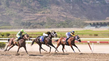 Miguel Cortez vuelve a la pista a yegua que tiene 42 días sin correr en La Rinconada