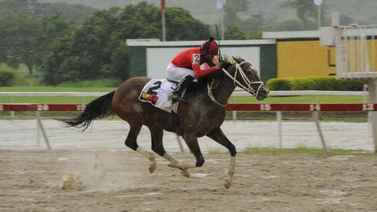 Gabriel Márquez inscribe este ejemplar que regresa a La Rinconada tras 42 días sin correr