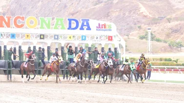 Nieta de millonario ganador en el Kentucky Derby reaparece en La Rinconada 