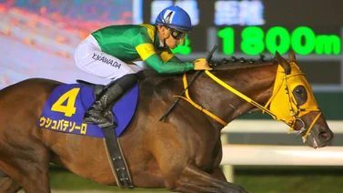 ¡Sin castigarlo! El japonés Ushba Tesoro queda listo para la Breeders' Cup Classic con esta victoria (+ video)