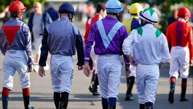 Conoce a los diez jinetes más ganadores de stakes este año en Estados Unidos