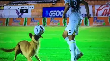 Curioso momento ocurrió en pleno juego de la Liga de Expansión MX (+Video) Curioso momento ocurrió en pleno juego de la Liga de Expansión MX (+Video)