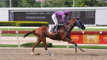 Así fue el ajuste del fijo de Ángel Ybarra para este domingo en La Rinconada
