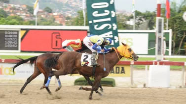 Conoce el ajuste de la línea de Ramiro Caldeira para el domingo en La Rinconada