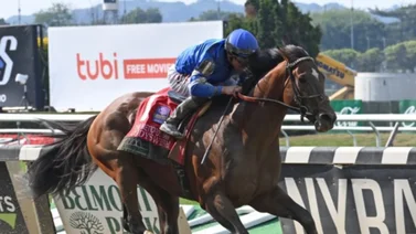 Reaparece el mejor caballo maduro de Estados Unidos este sábado en un Stake G2 y lo monta un venezolano