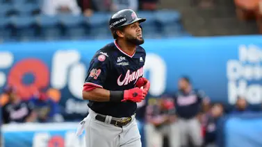 Foto: David Urdaneta Foto: David Urdaneta