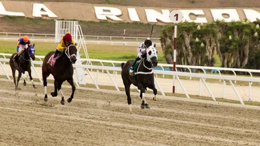 Jockey que nunca ha ganado en La Rinconada con chance de logar su primer triunfo en la reunión 38