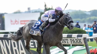 Así el fue el primer día de entrenamiento de Arcangelo en Santa Anita Park rumbo a la Breeders' Cup Classic