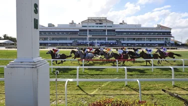 Datos de Última hora para Gulfstream Park 30-9-2023
