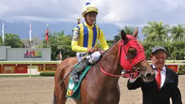 Mira lo que le sucedió a la yegua Clara del Valle de Riccardo D'Angelo