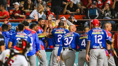 LVBP: Tiburones confirma la presencia de otro destacado importado (+Detalles)